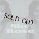 Shy Rose / I Cry For You 【中古レコード】2412 高額