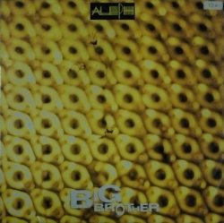 画像1: Aleph / Big Brother / I'm In Danger (ALI-13038) 日本盤 【中古レコード】2559