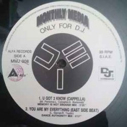 画像1: $ Monthly Media - Only For D.J. (MMJ 008) プロモ盤 (Alfa) Cappella / U Got 2 Know (Midi Wave Remix) YYY475-5032-1-1