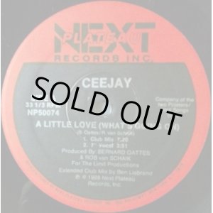 画像: Ceejay / A Little Love (What's Going On) NP50074 (US) 【中古レコード】1601 一枚　完売