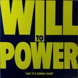 画像: Will To Power / Say It's Gonna Rain 【中古レコード】1652一枚  原修正