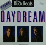画像: The Buckbeats / Daydream 【中古レコード】2536