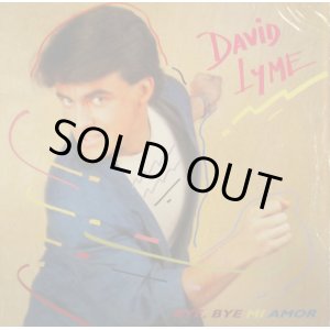 画像: David Lyme / Bye, Bye Mi Amor (STA 3655) 【中古レコード】2575B