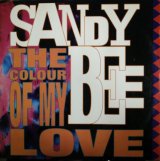 画像: Sandy Bee / The Color Of My Love 【中古レコード】 2893