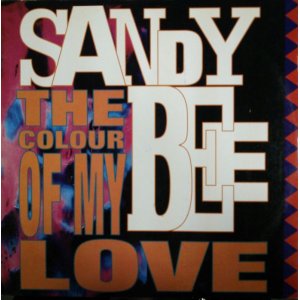 画像: Sandy Bee / The Color Of My Love 【中古レコード】 2893