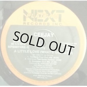 画像: Ceejay / A Little Love (What's Going On) NP50074RE-1 【中古レコード】1063B　完売