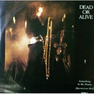 画像: Dead Or Alive / Something In My House 【中古レコード】1119