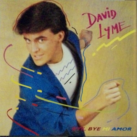 画像1: David Lyme ‎/ Bye, Bye Mi Amor (STA 3655) 【中古レコード】2575C