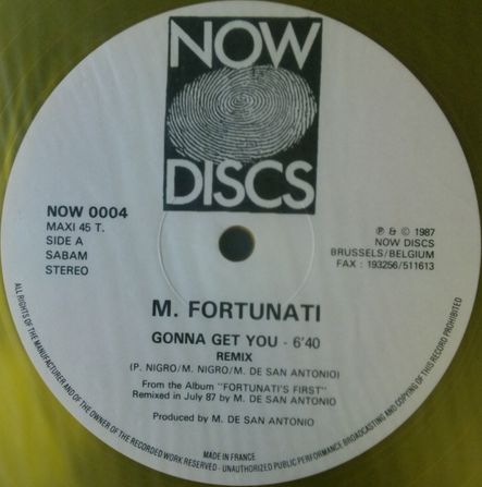 画像1: Michael Fortunati / Gonna Get You (Remix)  【中古レコード】1471Re