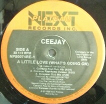画像1: Ceejay / A Little Love (What's Going On) NP50074RE-1 【中古レコード】1063B