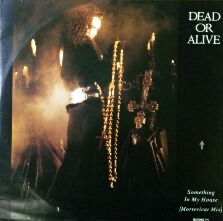 画像1: Dead Or Alive / Something In My House 【中古レコード】1119